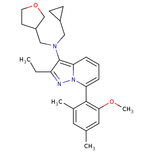 PNG