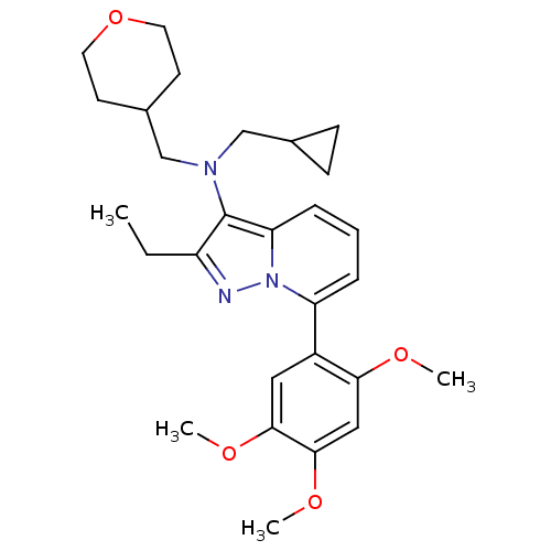 PNG