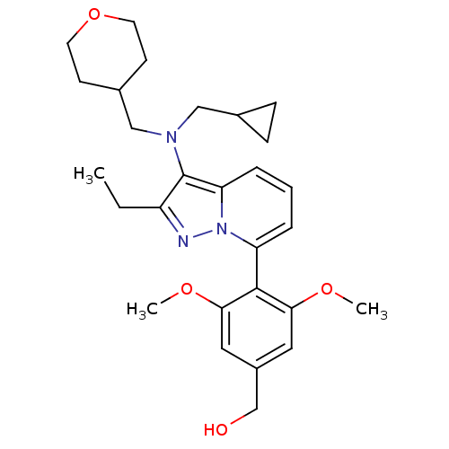PNG