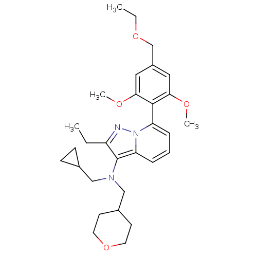 PNG