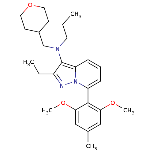 PNG