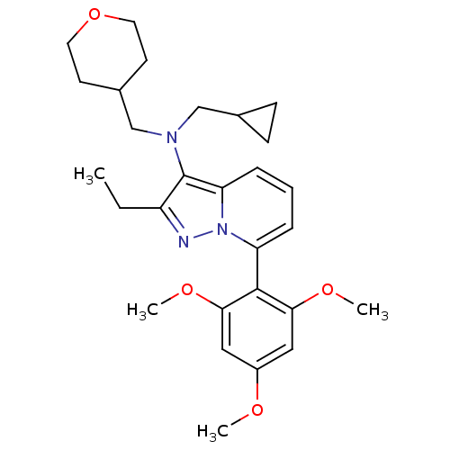 PNG
