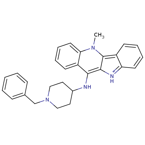 PNG