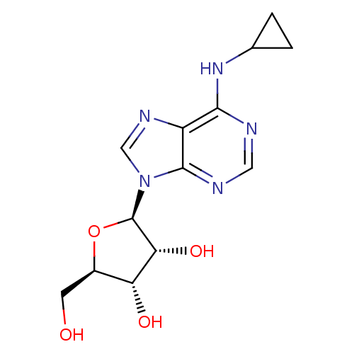 PNG