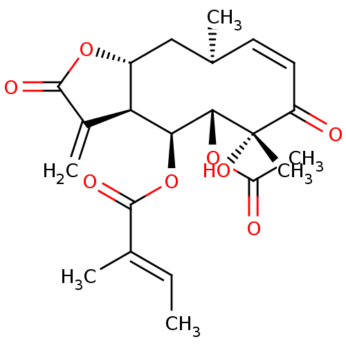 PNG