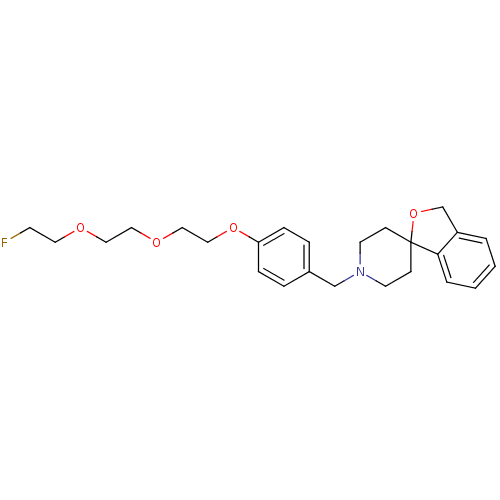 PNG