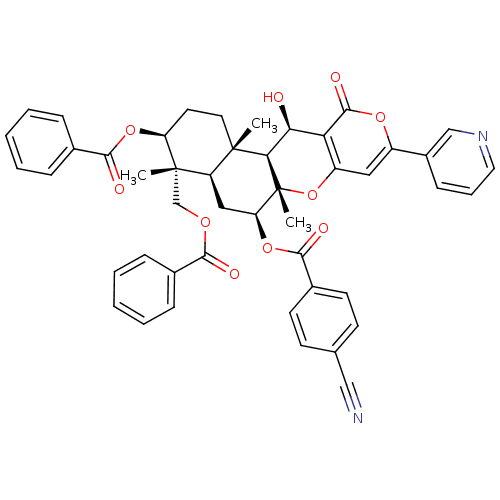 PNG