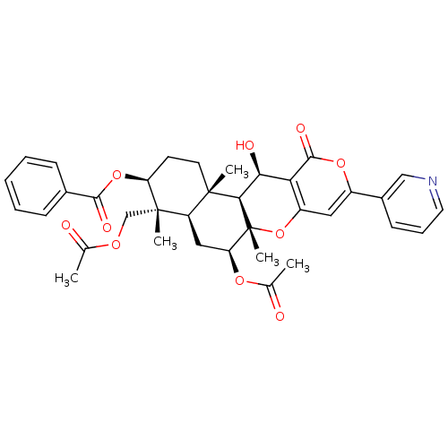 PNG