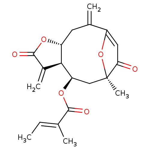 PNG