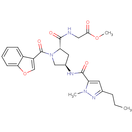 PNG