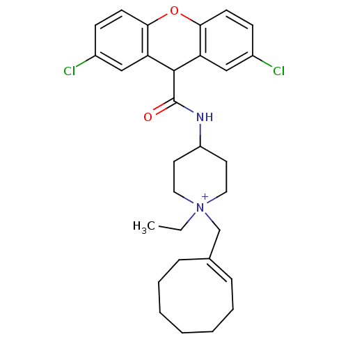 PNG