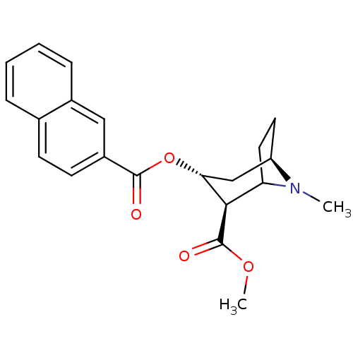 PNG