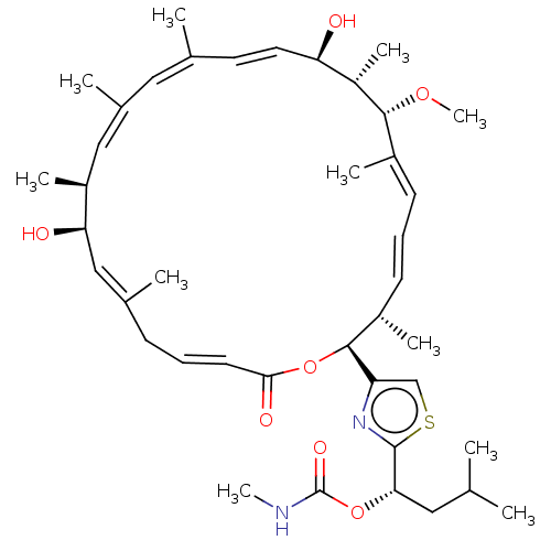 PNG