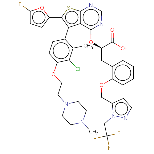 PNG