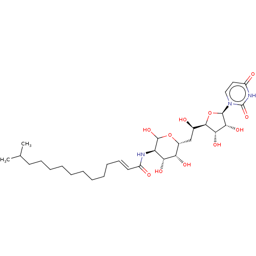 PNG