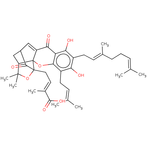 PNG