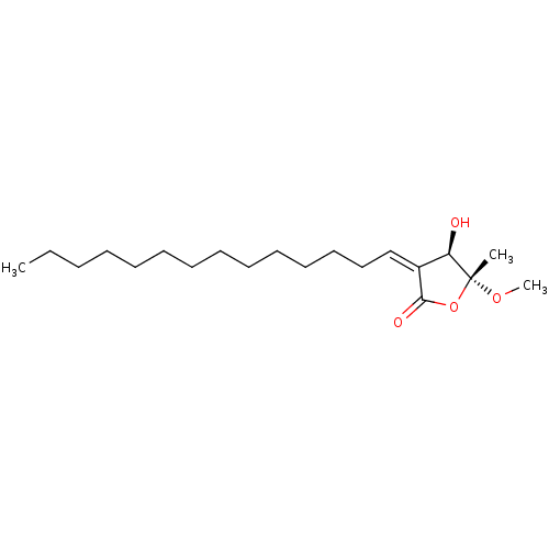 PNG