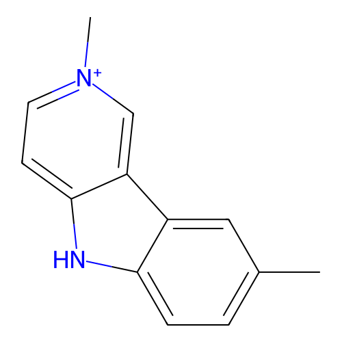 PNG