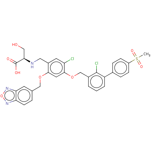 PNG