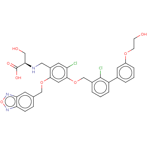 PNG