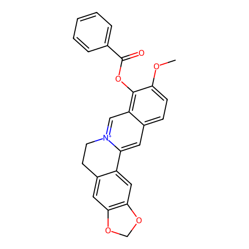 PNG