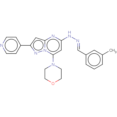 PNG