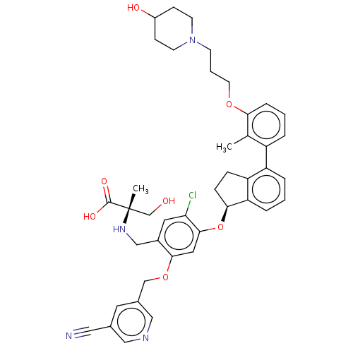 PNG