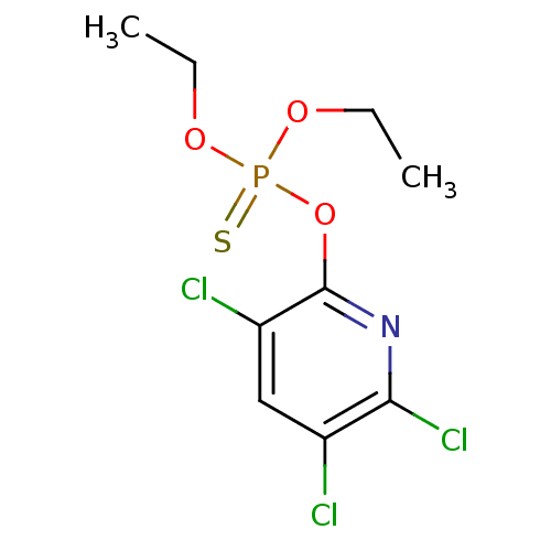 PNG