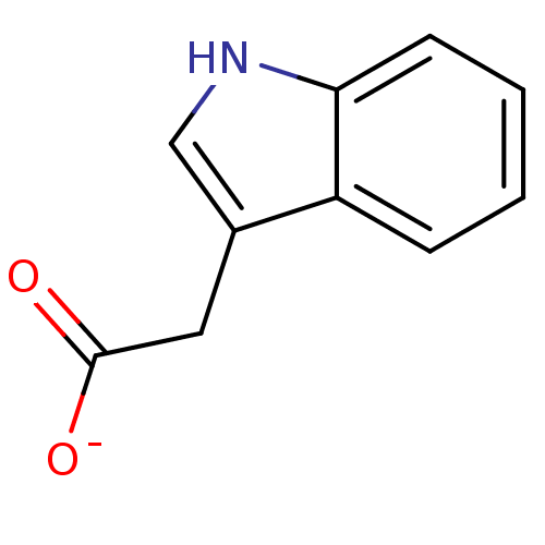 PNG